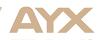 AYX·爱游戏「中国」官方网站_AYXSPORT